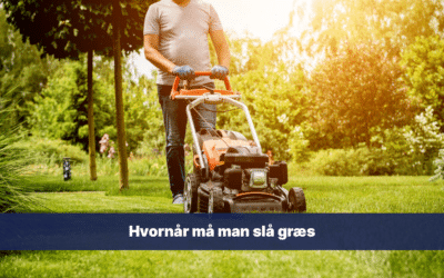 Hvornår må man slå græs?