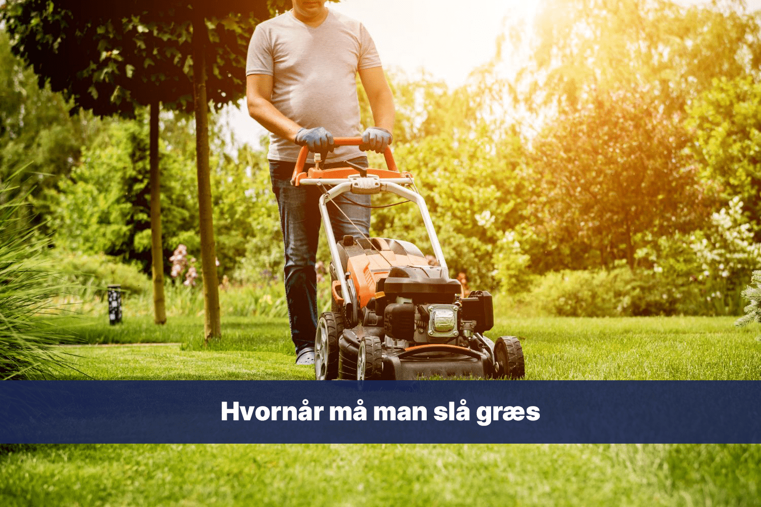 Hvornår må man slå græs