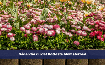 Sådan får du det flotteste blomsterbed