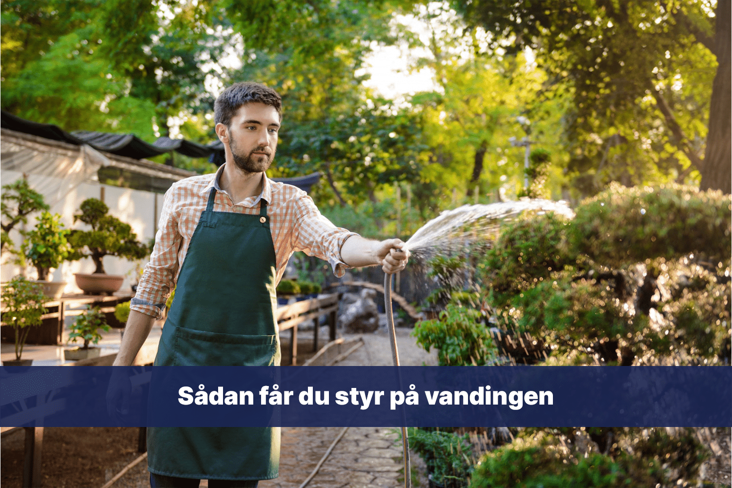 sådan får du styr på vandingen