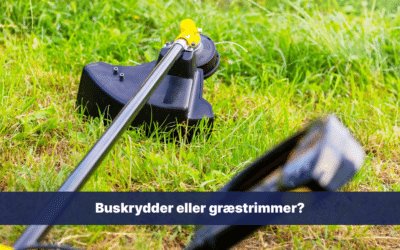 Buskrydder eller græstrimmer – hvad skal jeg vælge?