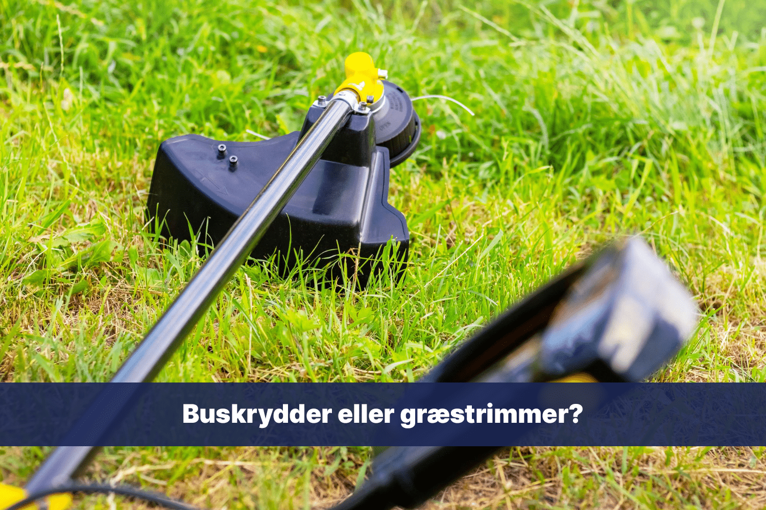 Buskrydder eller græstrimmer