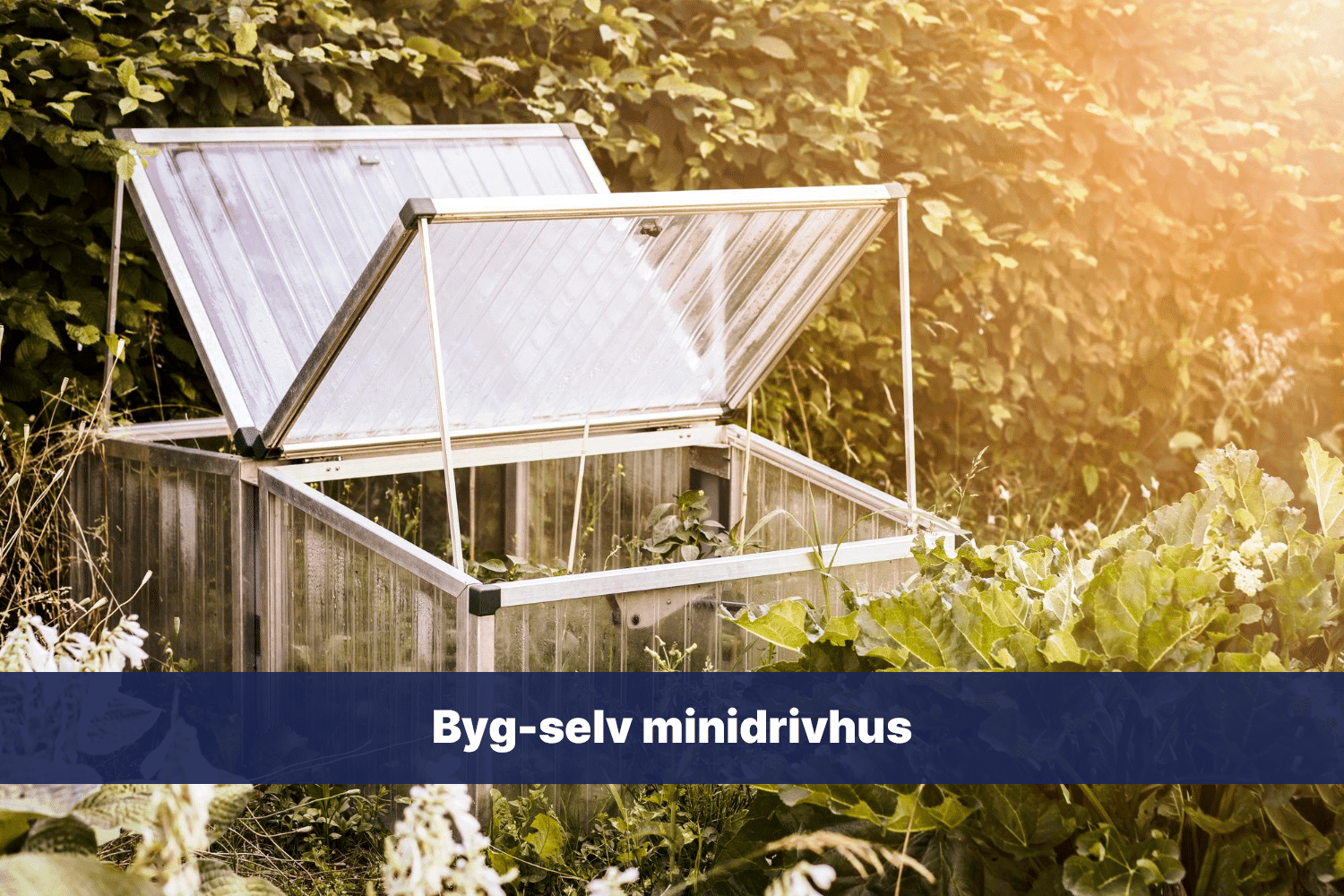 Byg-selv minidrivhus