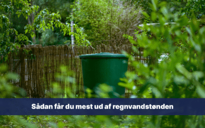 Sådan får du mest ud af regnvandstønden