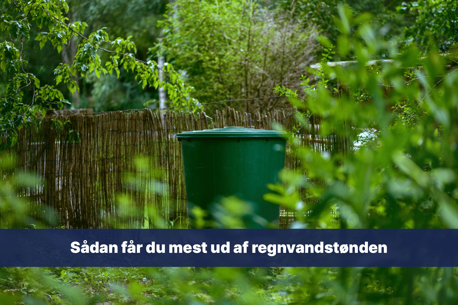 Sådan får du mest ud af regnvandstønden