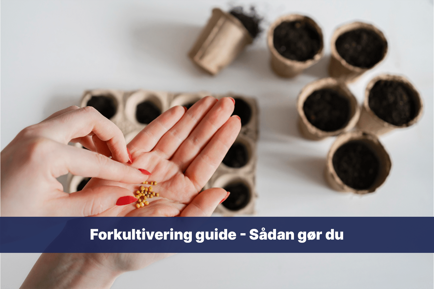 forkultivering guide