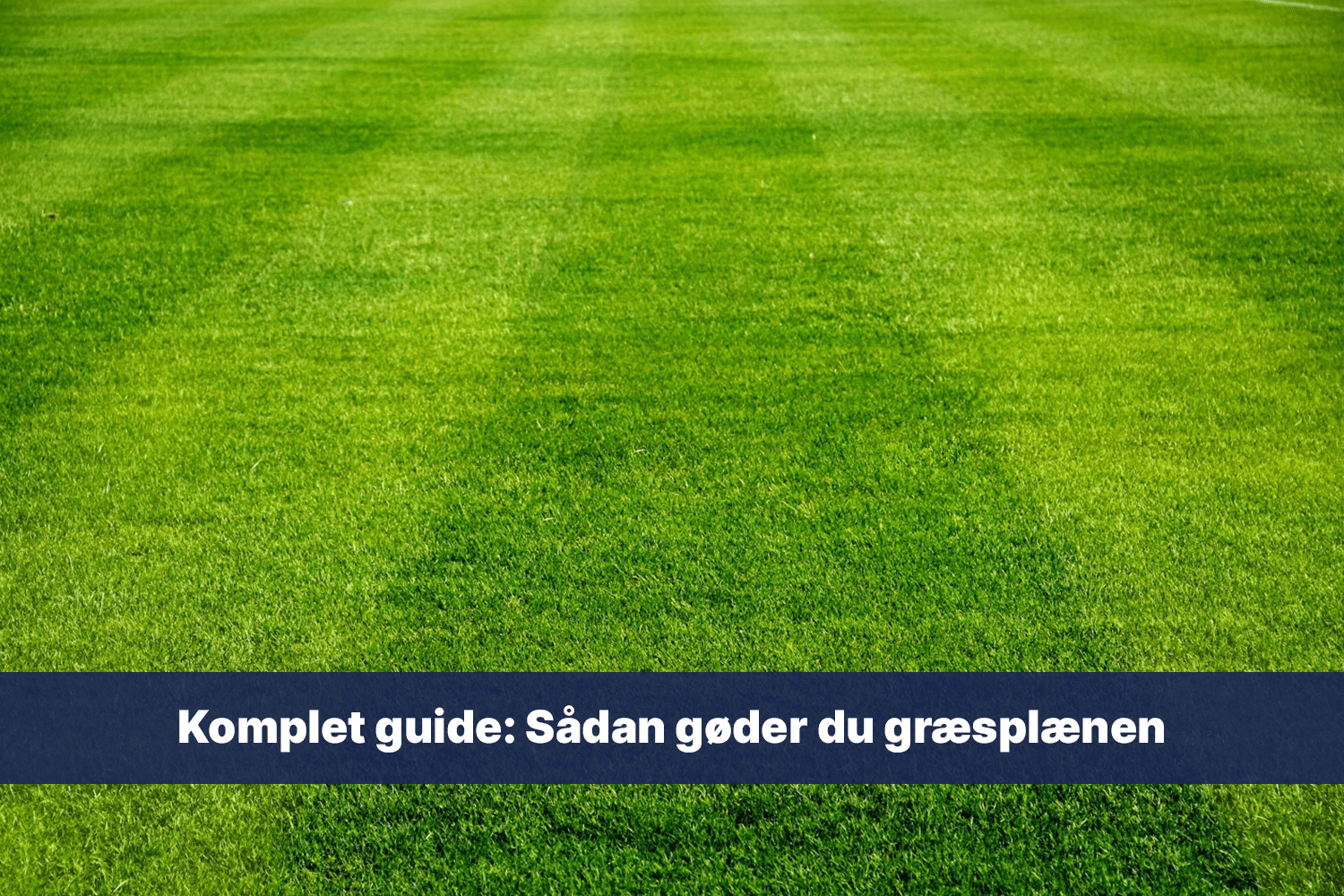 guide sådan gøder du græsplænen