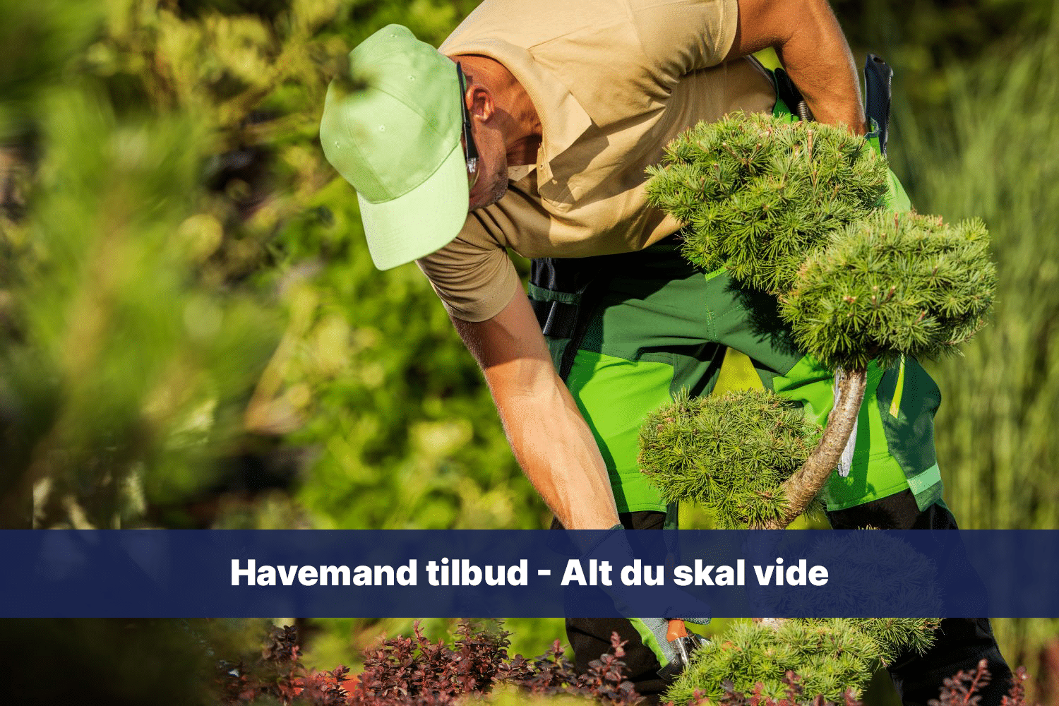 havemand tilbud