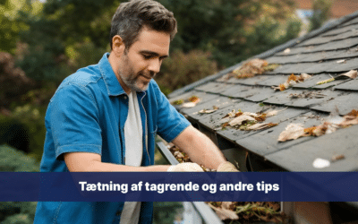 Tagrende vedligehold: Tætning af tagrenden og andre tips