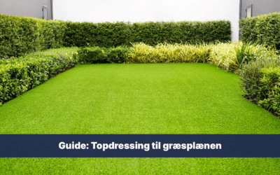 Guide: Topdressing til græsplænen