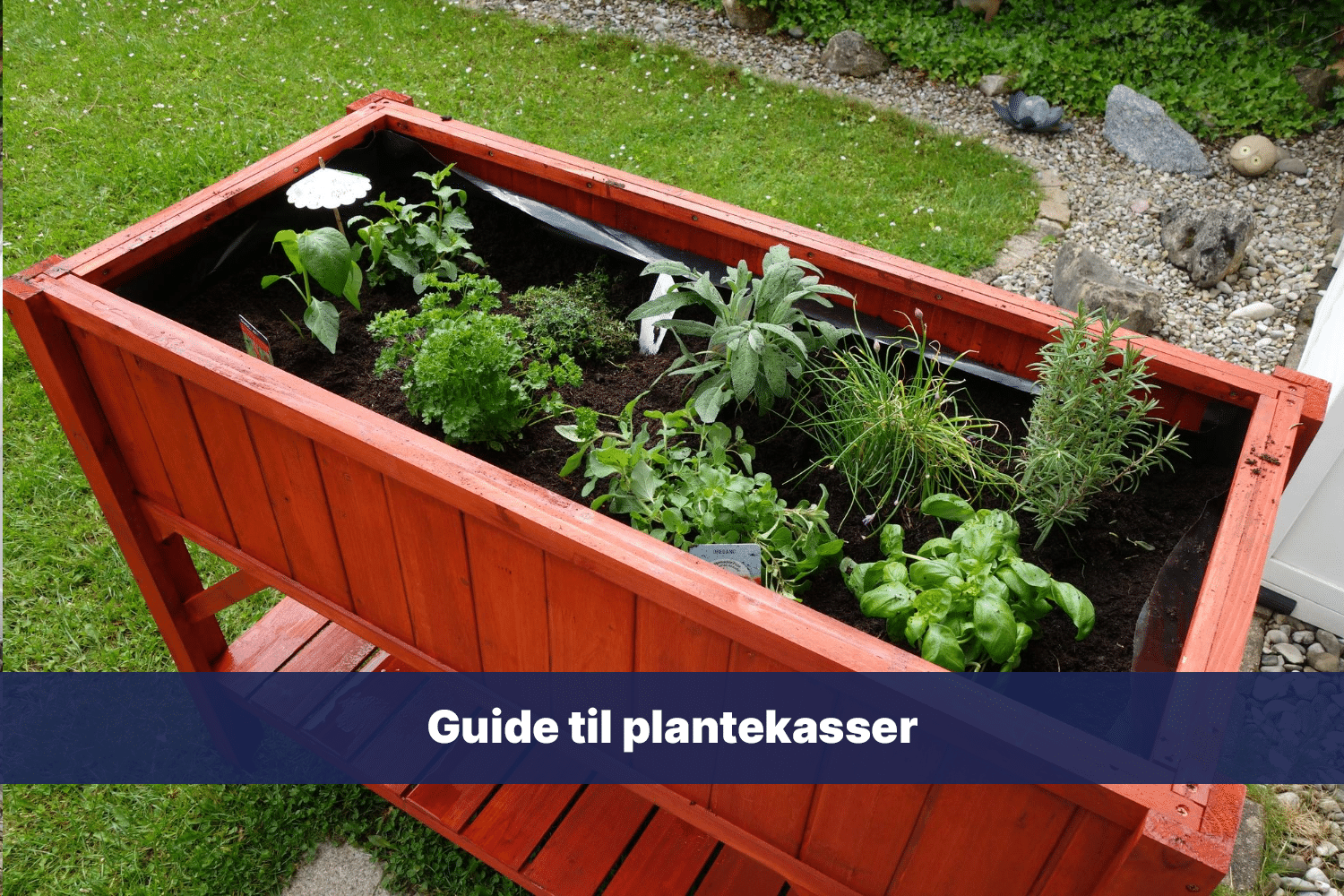 Guide til plantekasser